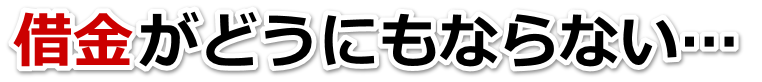 不安で寝られない。借金が返せない。蓮田市で無料相談して弁護士や司法書士の力を借りる