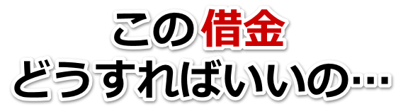 不安で寝られない。借金が返せない。日高市で弁護士や司法書士に無料で相談する